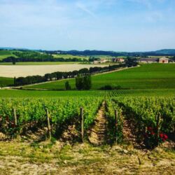 flickr.com/Teodor Tabarcea