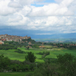 flickr.com/lemon_ice