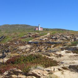 flickr.com/Maurizio Manetti