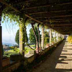 Regione Toscana