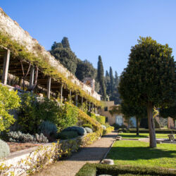 Regione Toscana