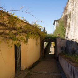 Regione Toscana