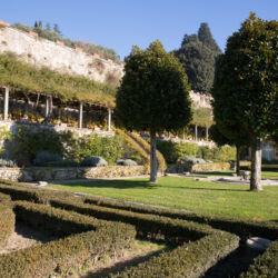 Regione Toscana