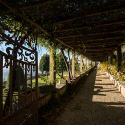 Regione Toscana