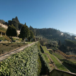 Regione Toscana