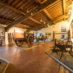 @Regione Toscana_Stefano Casati