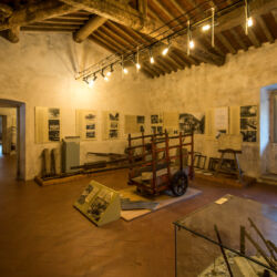 @Regione Toscana_Stefano Casati