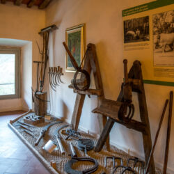 @Regione Toscana_Stefano Casati