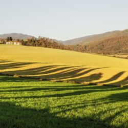 Foto Menchetti - Galliano