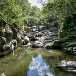 Foto Menchetti - Moscheta