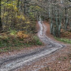 Foto Menchetti - Pian di Balestra