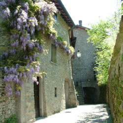 Archivio Unione Montana dei Comuni del Mugello - Palazzuolo sul Senio