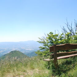 Archivio Unione Montana dei Comuni del Mugello