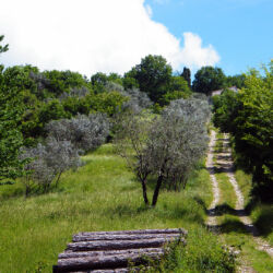 Archivio Unione Montana dei Comuni del Mugello