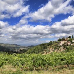 Archivio Unione Montana dei Comuni del Mugello - Frascole
