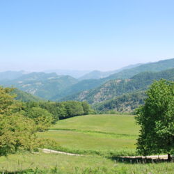 Archivio Unione Montana dei Comuni del Mugello