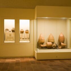 @Museo Nazionale Villa Guinigi