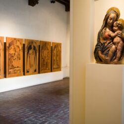 @Museo Nazionale Villa Guinigi