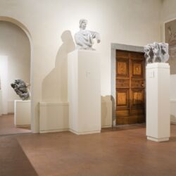 @Museo Nazionale Villa Guinigi