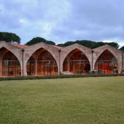 @Federico Federighi_Comune di Pisa