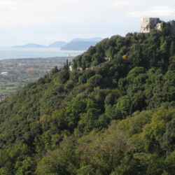 CC_www.apathtolunch.com