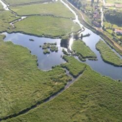 Comune di Montignoso