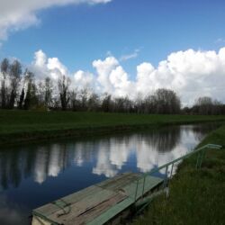 Comune di Montignoso