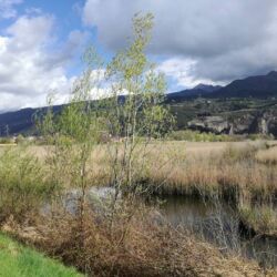 Comune di Montignoso