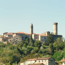 CC_Davide Papalini
