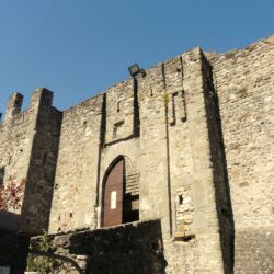 CC_Davide Papalini