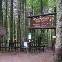 Ecomuseo della Montagna Pistoiese