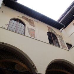 CC_Saliko