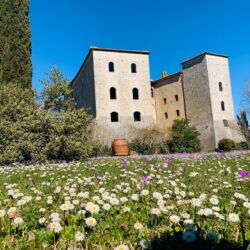 ©Fondazione Vacchi