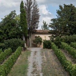 @Comune di Peccioli_Ela Bialkowska, OKNOstudio