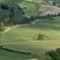 @Comune di Peccioli_Ela Bialkowska, OKNOstudio