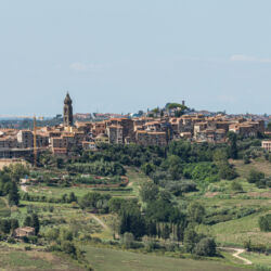 @Comune di Peccioli_Ela Bialkowska, OKNOstudio