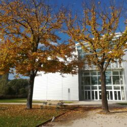 ©Polo Tecnologico Lucchese