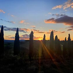 ©Poggio Fasciano