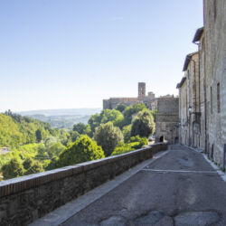 ©Comune di Colle di Val d'Elsa