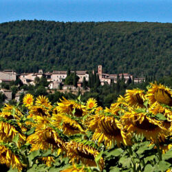 ©Associazione Turistica Proloco Sovicille