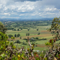 ©Associazione Turistica Proloco Sovicille