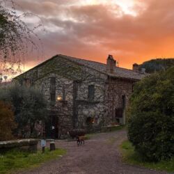 ©Pieve di Caminino
