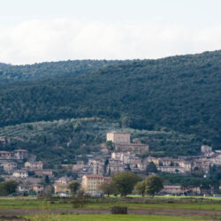 ©Associazione Turistica Proloco Sovicille