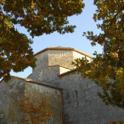 ©Comune di Colle di Val d'Elsa