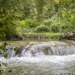 ©Comune di Colle di Val d'Elsa