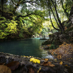 ©Comune di Colle di Val d'Elsa