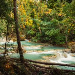 ©Comune di Colle di Val d'Elsa