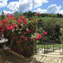 ©Villa Poggio Bartoli