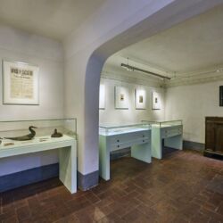 Archivio Puccini Museum - foto Andrea Pistolesi