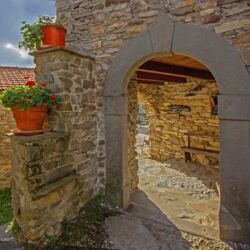©Montagna Verde